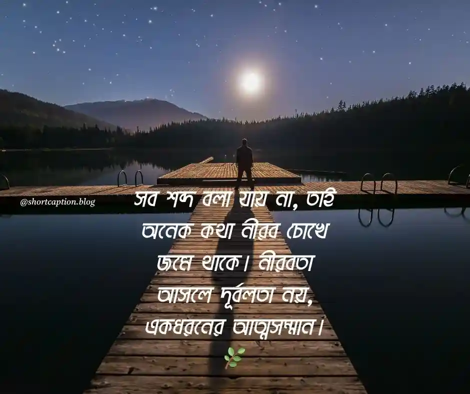 নীরবতা নিয়ে ক্যাপশন নীরবতা ক্যাপশন বাংলা