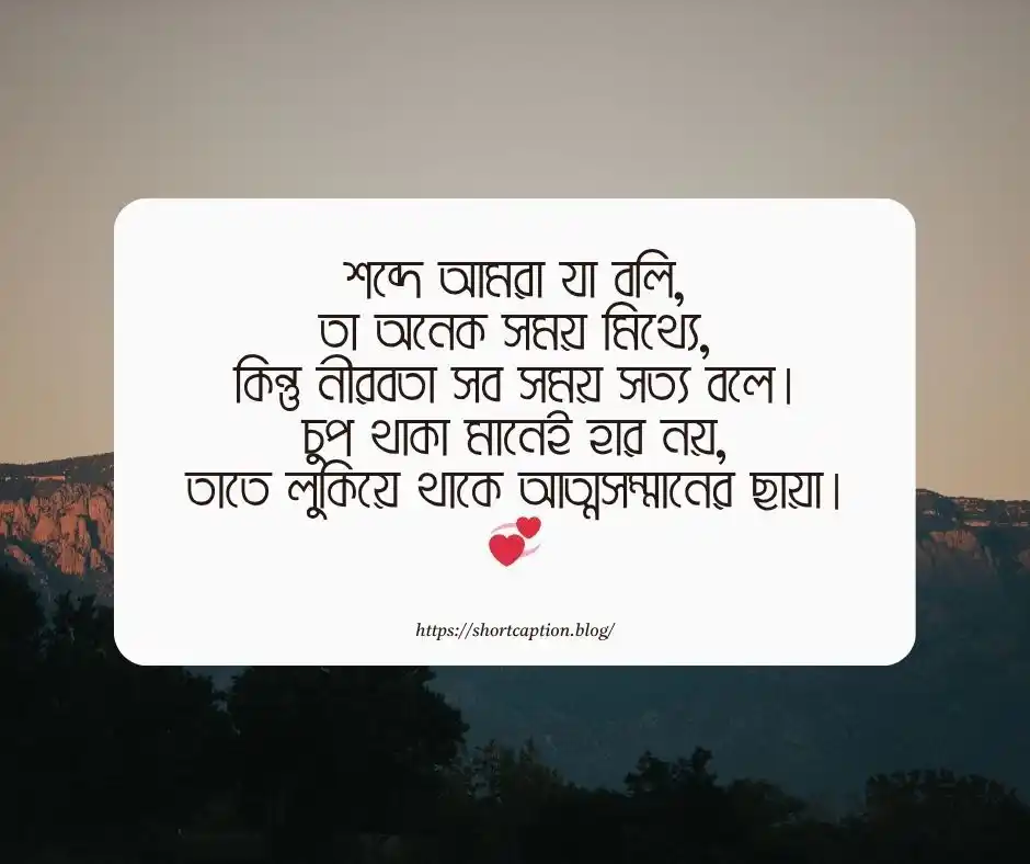 নীরবতা নিয়ে স্ট্যাটাস নীরবতা স্ট্যাটাস