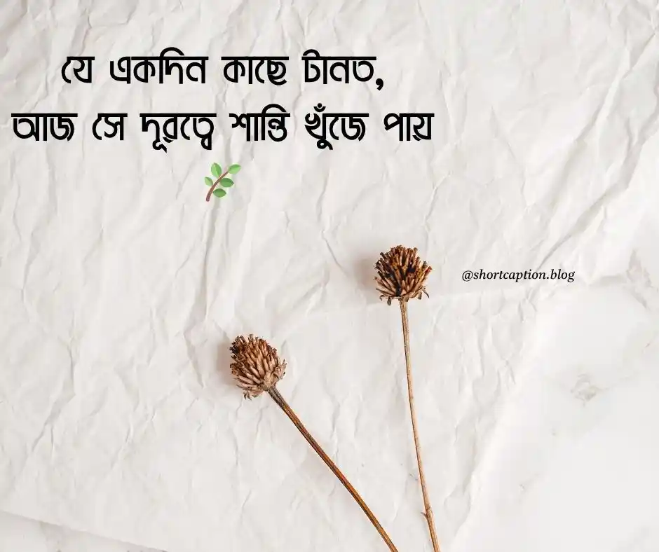 প্রিয় মানুষ বদলে যাওয়া নিয়ে উক্তি