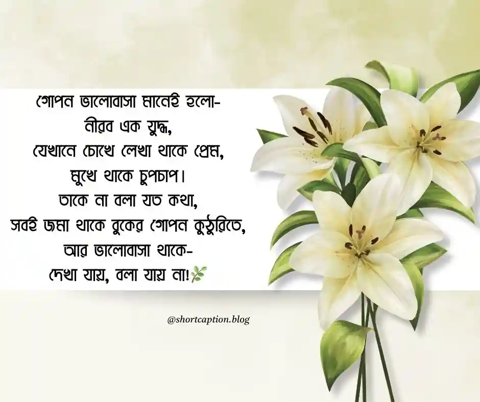 প্রেম নিয়ে উক্তি গোপন প্রেমের উক্তি