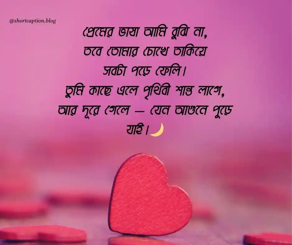 প্রেমের কবিতা - premer kobita