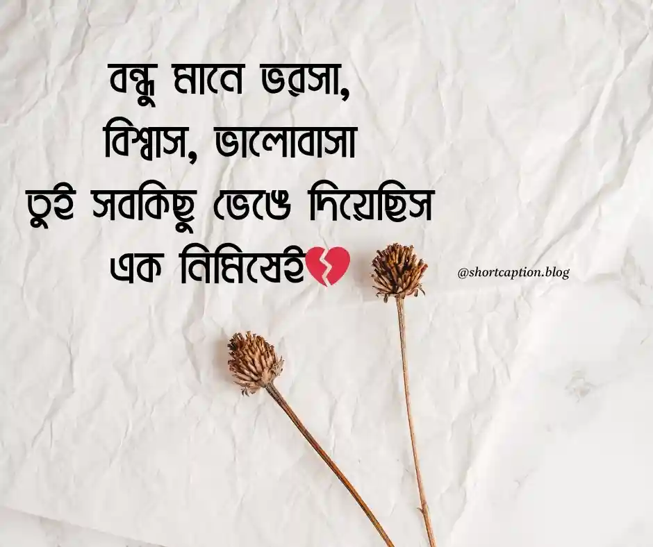 বন্ধু নিয়ে স্ট্যাটাস কষ্টের