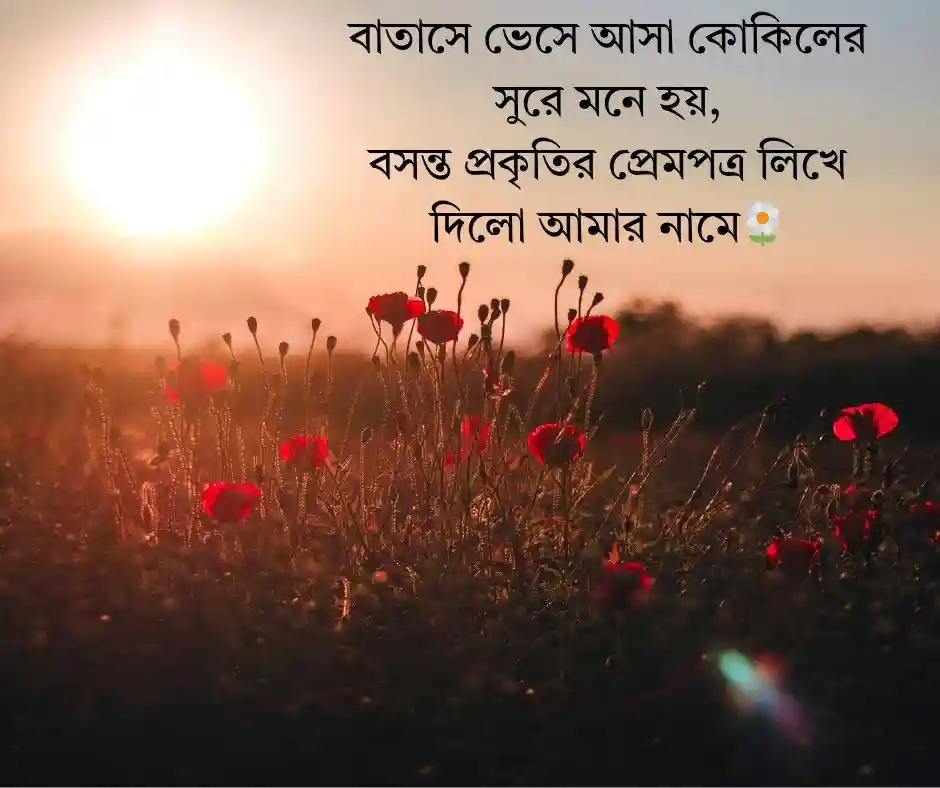 বসন্ত নিয়ে ক্যাপশন বাংলা