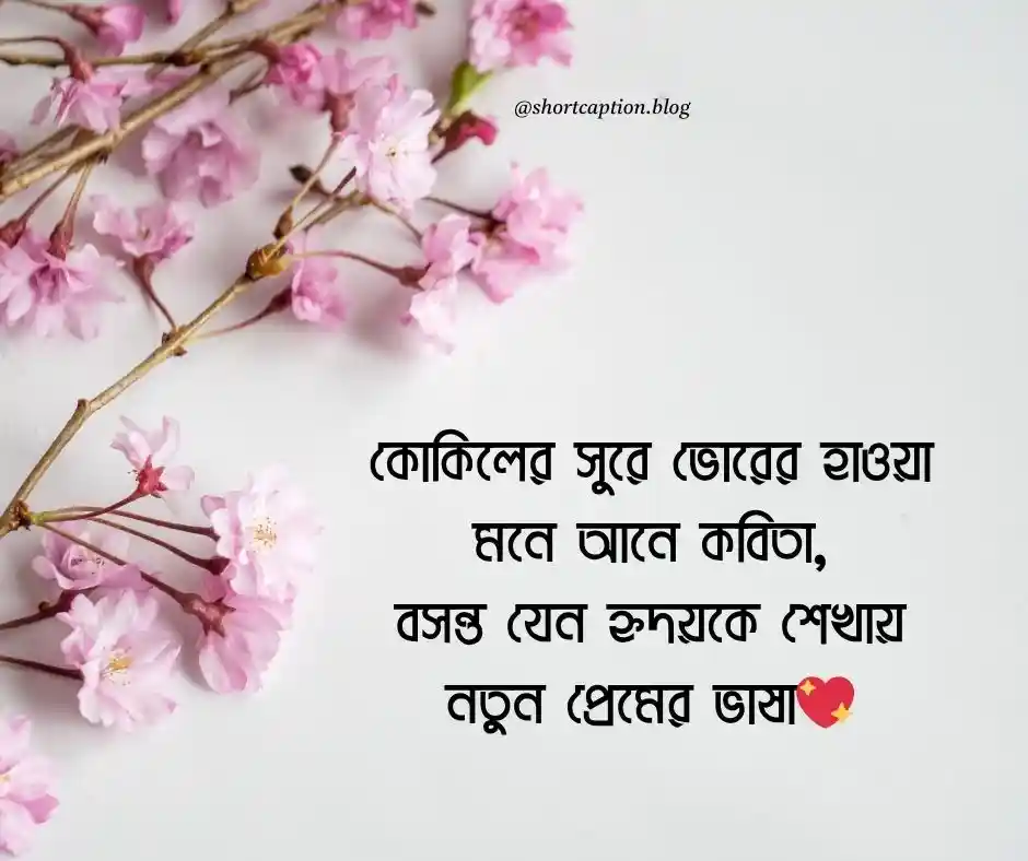 বসন্ত নিয়ে ফেসবুক স্ট্যাটাস