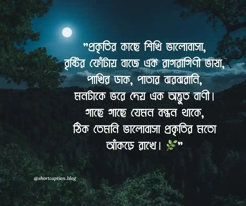 বাংলা ছন্দ কবিতা ভালোবাসার