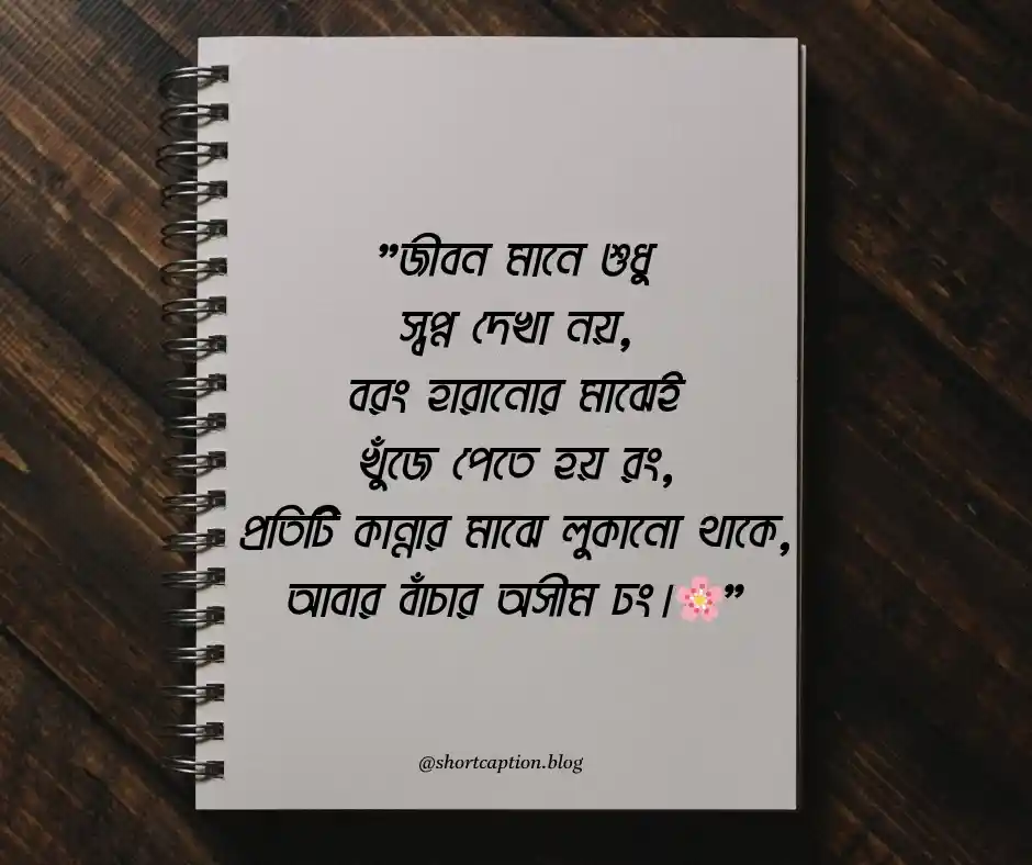 বাংলা ছন্দ স্ট্যাটাস ক্যাপশন - bangla chondo caption