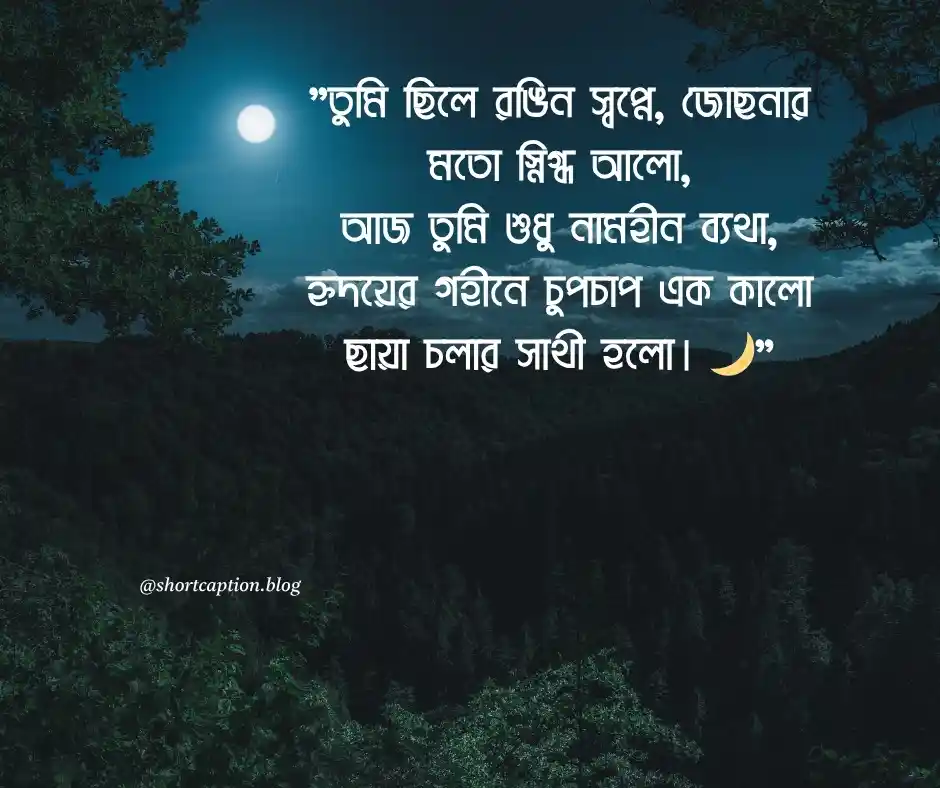 বাংলা ছন্দ স্ট্যাটাস - bangla chondo status caption