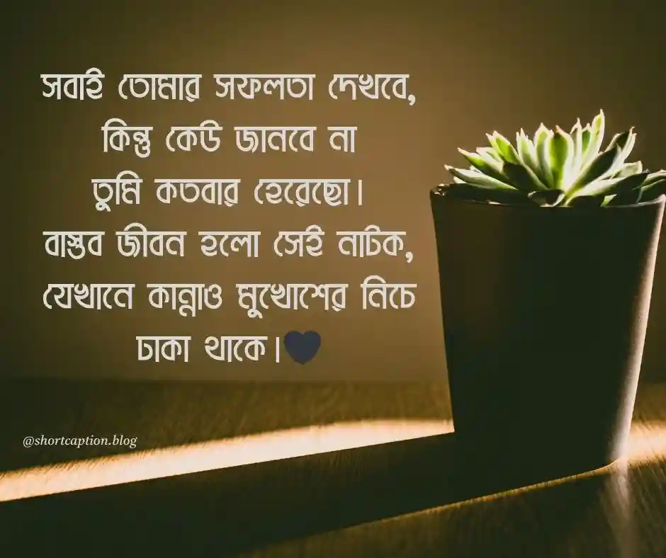 বাস্তব জীবন নিয়ে ক্যাপশন