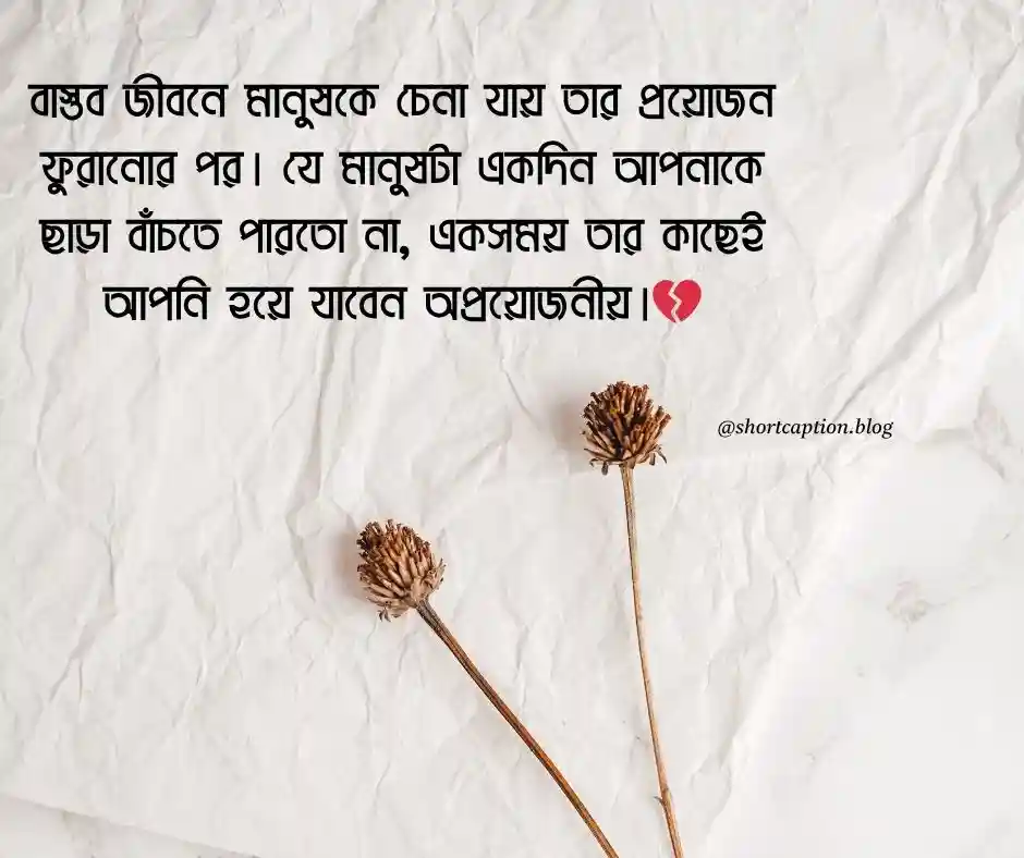 বাস্তব জীবন নিয়ে স্ট্যাটাস ফেসবুকের জন্য
