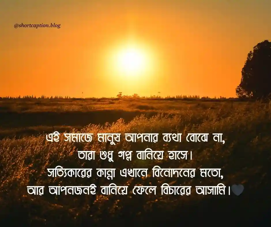 বাস্তব সমাজ নিয়ে কিছু কথা