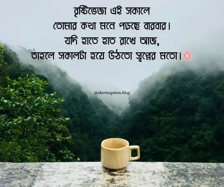 বৃষ্টি ভেজা শুভ সকাল বৃষ্টি ভেজা সকাল নিয়ে ক্যাপশন