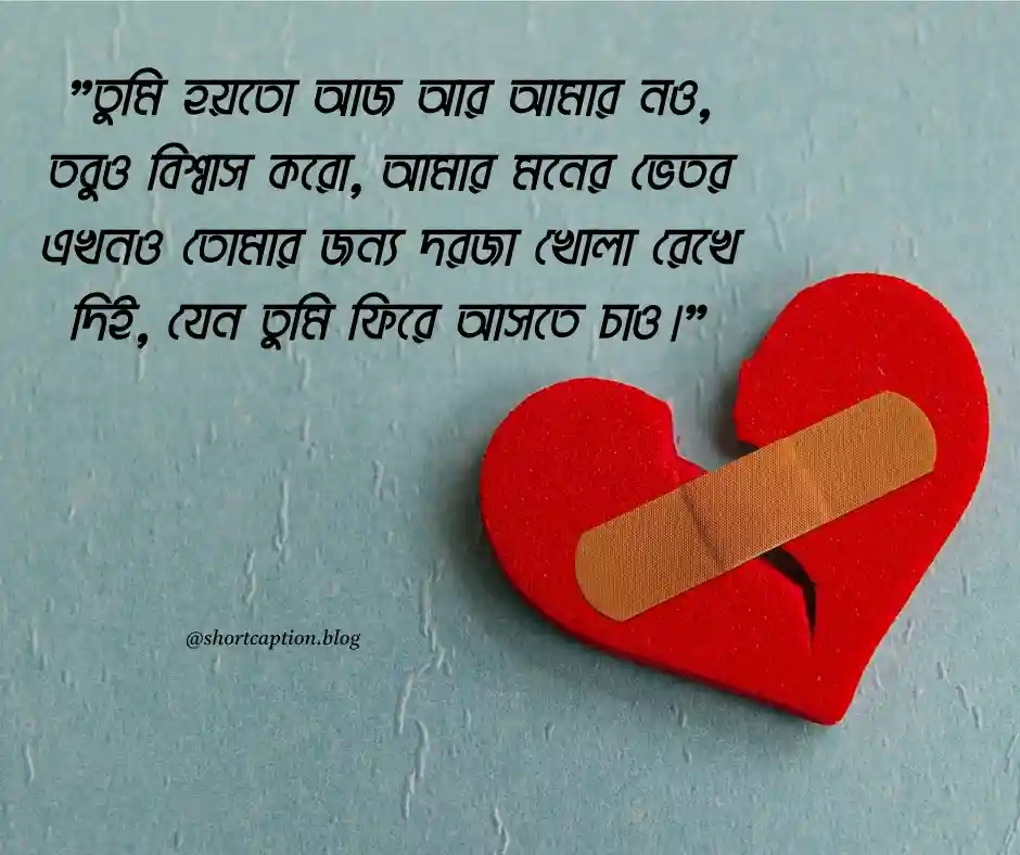 ভালোবাসার বাংলা ছন্দ স্ট্যাটাস