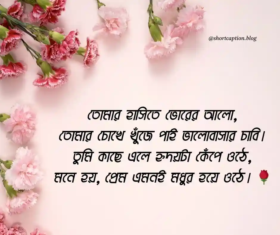 মিষ্টি রোমান্টিক প্রেমের ছন্দ রোমান্টিক প্রেমের কবিতা