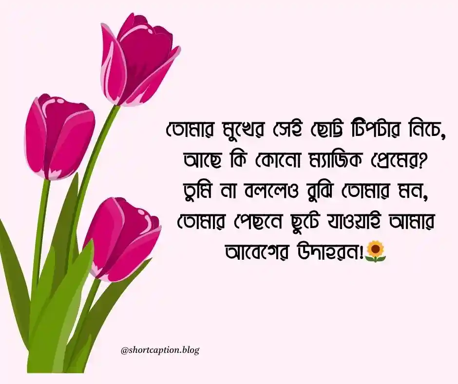 মেয়ে পটানো দুষ্টু মিষ্টি প্রেমের ছন্দ