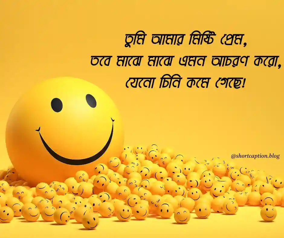 রোমান্টিক ফানি ক্যাপশন