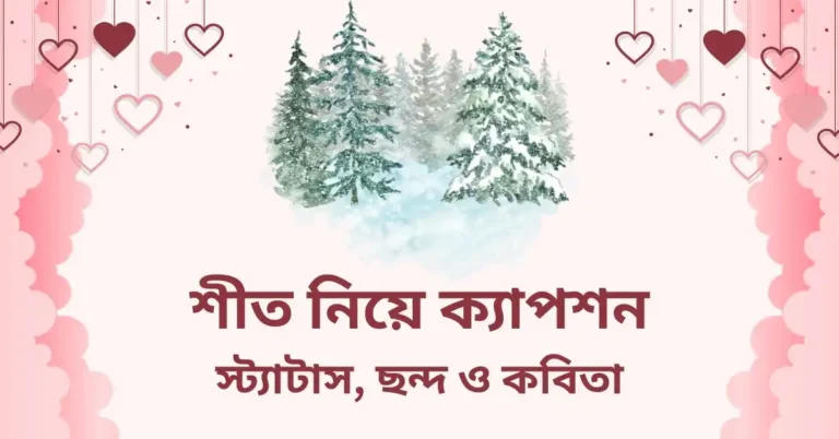 শীত নিয়ে ক্যাপশন, স্ট্যাটাস, ছন্দ ও কবিতা