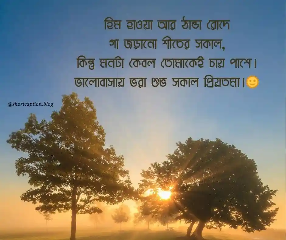 শীতের শুভ সকাল নিয়ে রোমান্টিক ক্যাপশন Good Morning Quotes
