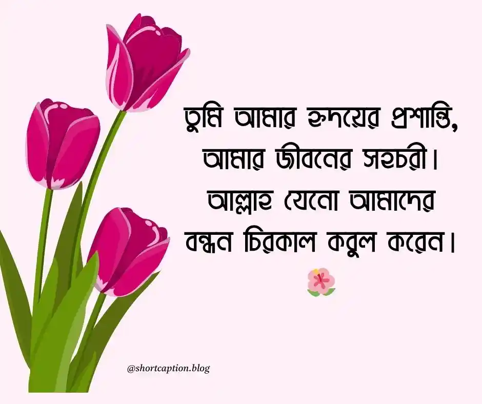 শুভ বিবাহ বার্ষিকী শুভেচ্ছা ছবি