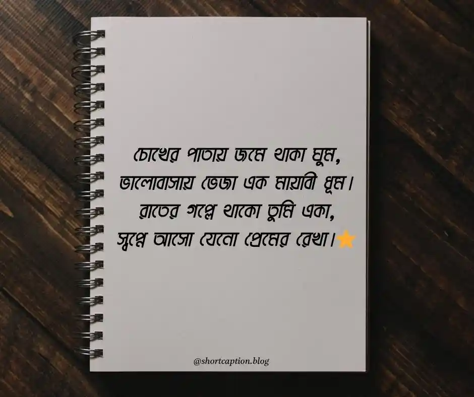 শুভ রাত্রি কবিতা