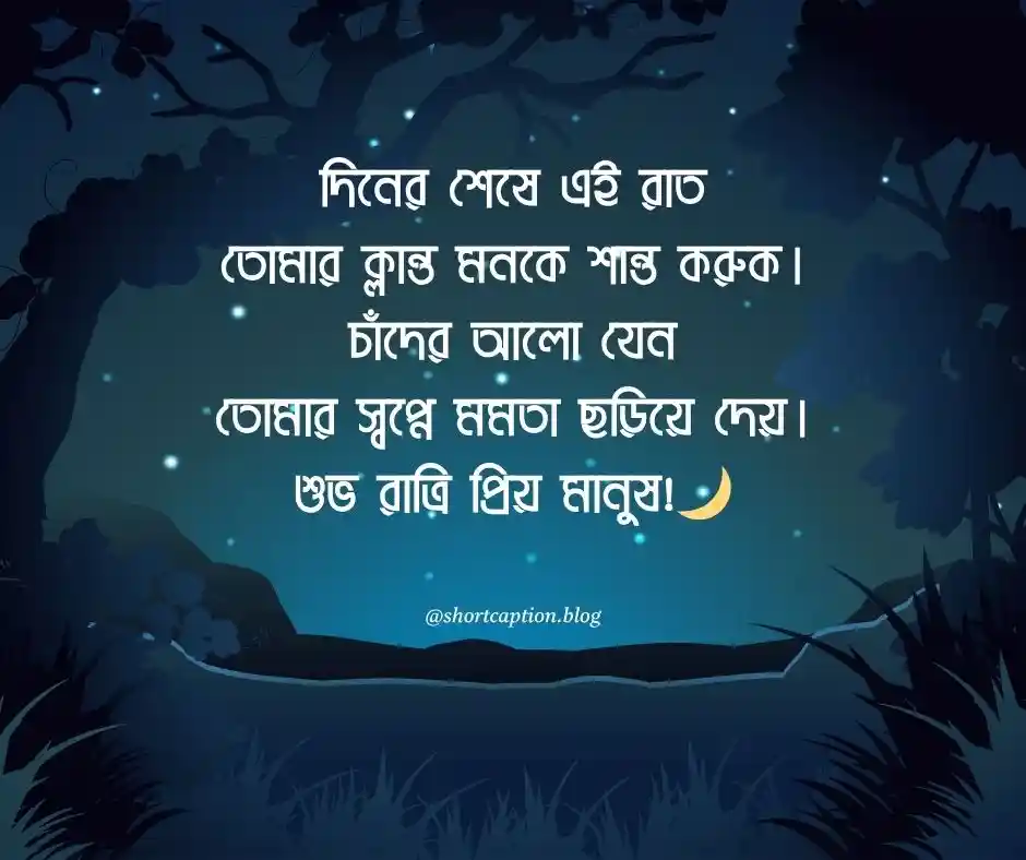 শুভ রাত্রি ক্যাপশন শুভ রাত্রি নিয়ে ক্যাপশন