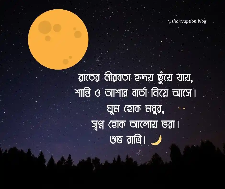 শুভ রাত্রি নিয়ে উক্তি Good Night Quotes