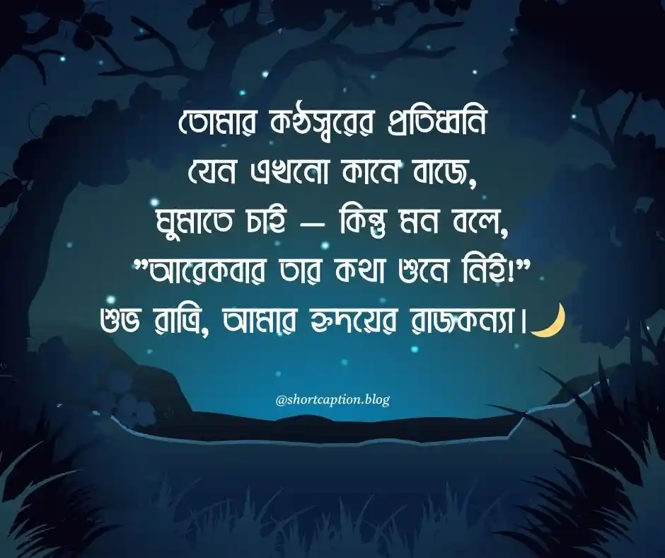 শুভ রাত্রি রোমান্টিক মেসেজ