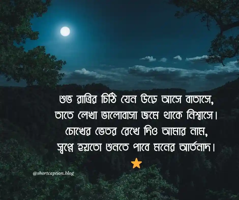 শুভ রাত্রি শুভেচ্ছা ছবি Beautiful Good Night Images