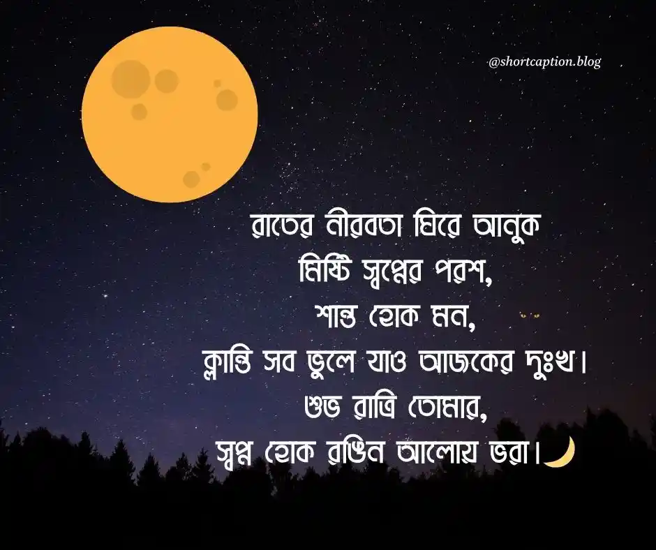 শুভ রাত্রি শুভেচ্ছা বার্তা Good Night Wish
