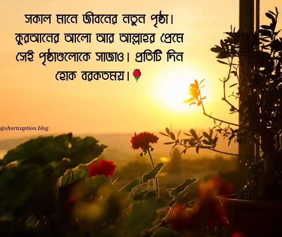 শুভ সকাল ইসলামিক স্ট্যাটাস ক্যাপশন