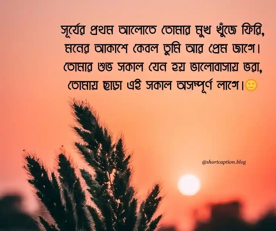 শুভ সকাল কবিতা শুভ সকাল রোমান্টিক কবিতা