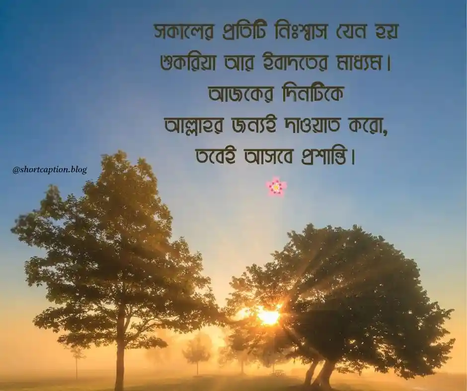 শুভ সকাল নিয়ে ইসলামিক উক্তি