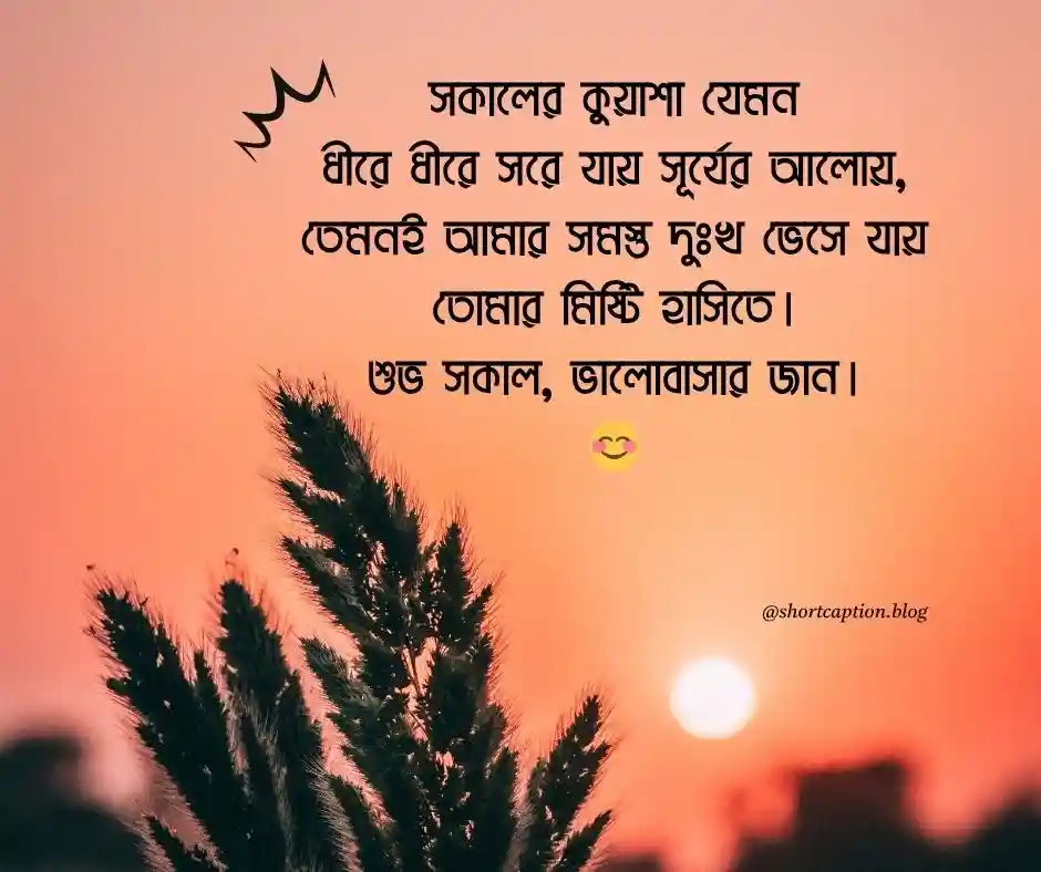 শুভ সকাল রোমান্টিক মেসেজ