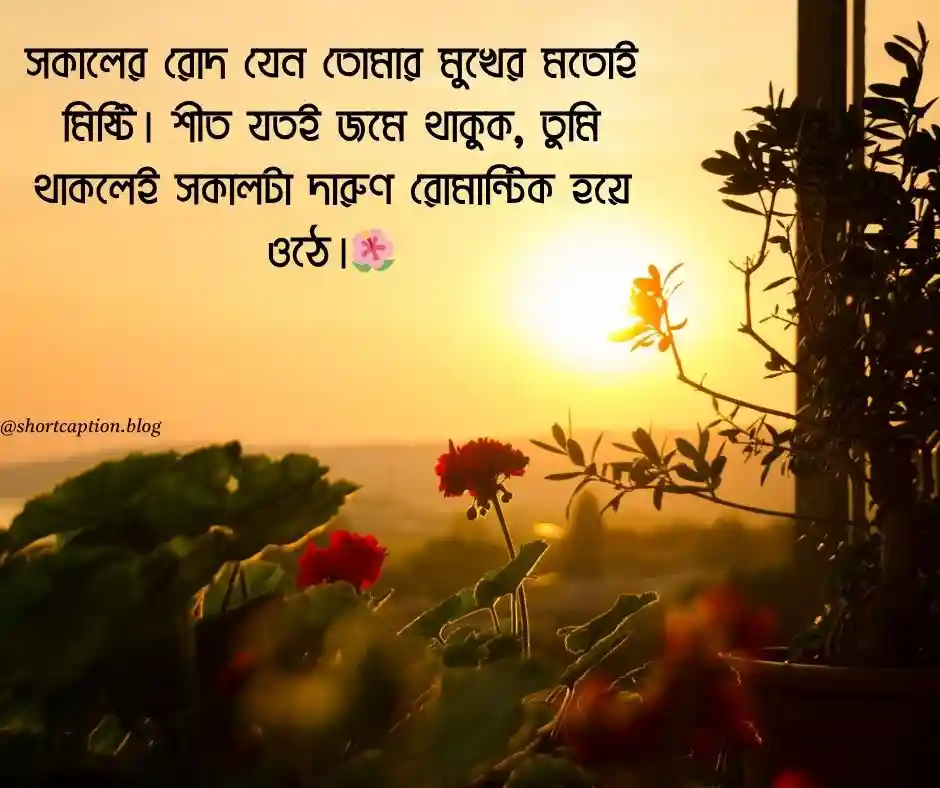 শুভ সকাল স্ট্যাটাস ছবি Good Morning Images Picture