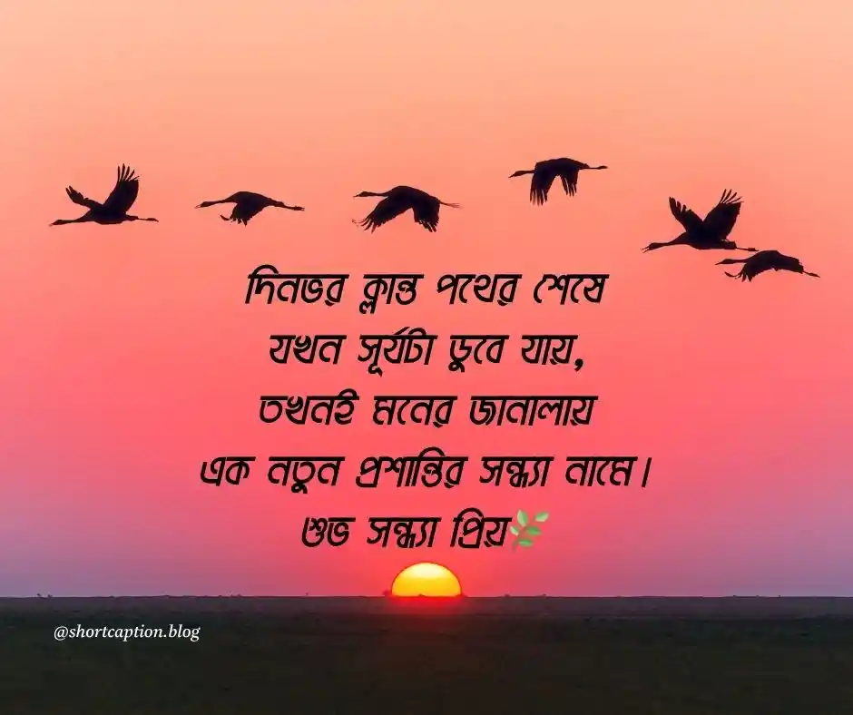 শুভ সন্ধ্যা ক্যাপশন শুভ সন্ধ্যা নিয়ে ক্যাপশন