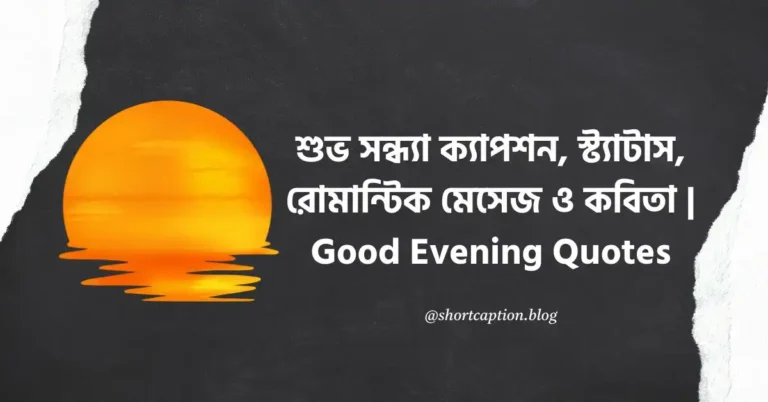শুভ সন্ধ্যা ক্যাপশন, স্ট্যাটাস, রোমান্টিক মেসেজ ও কবিতা | Good Evening Quotes
