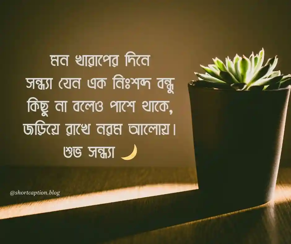 শুভ সন্ধ্যা ক্যাপশন