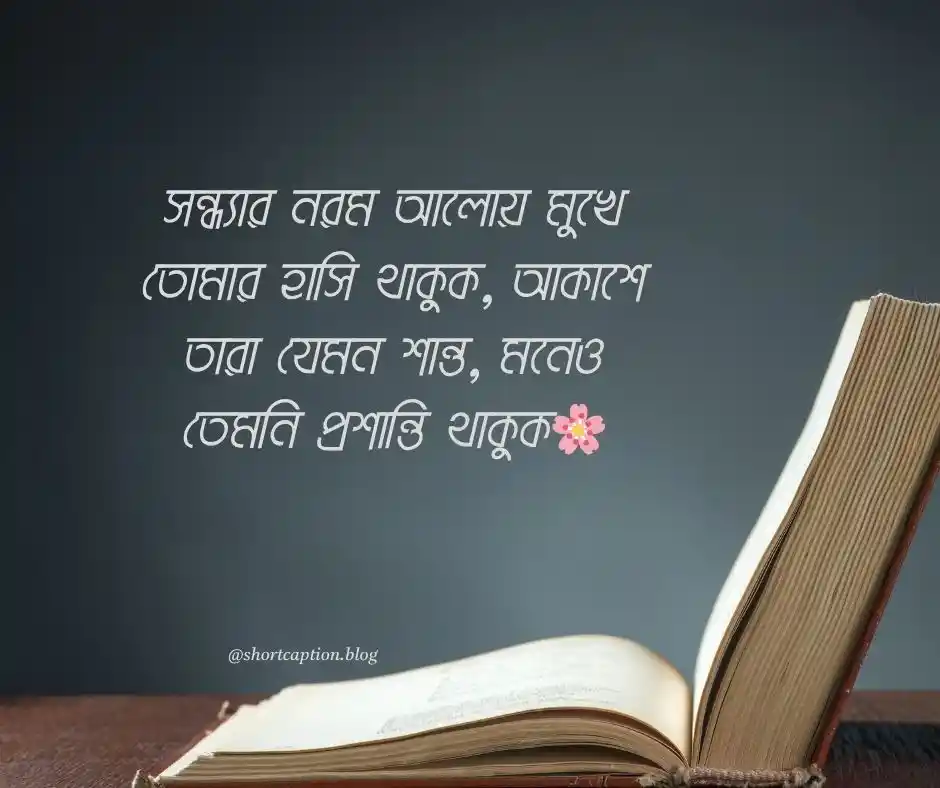শুভ সন্ধ্যা নিয়ে উক্তি Good Evening Quotes