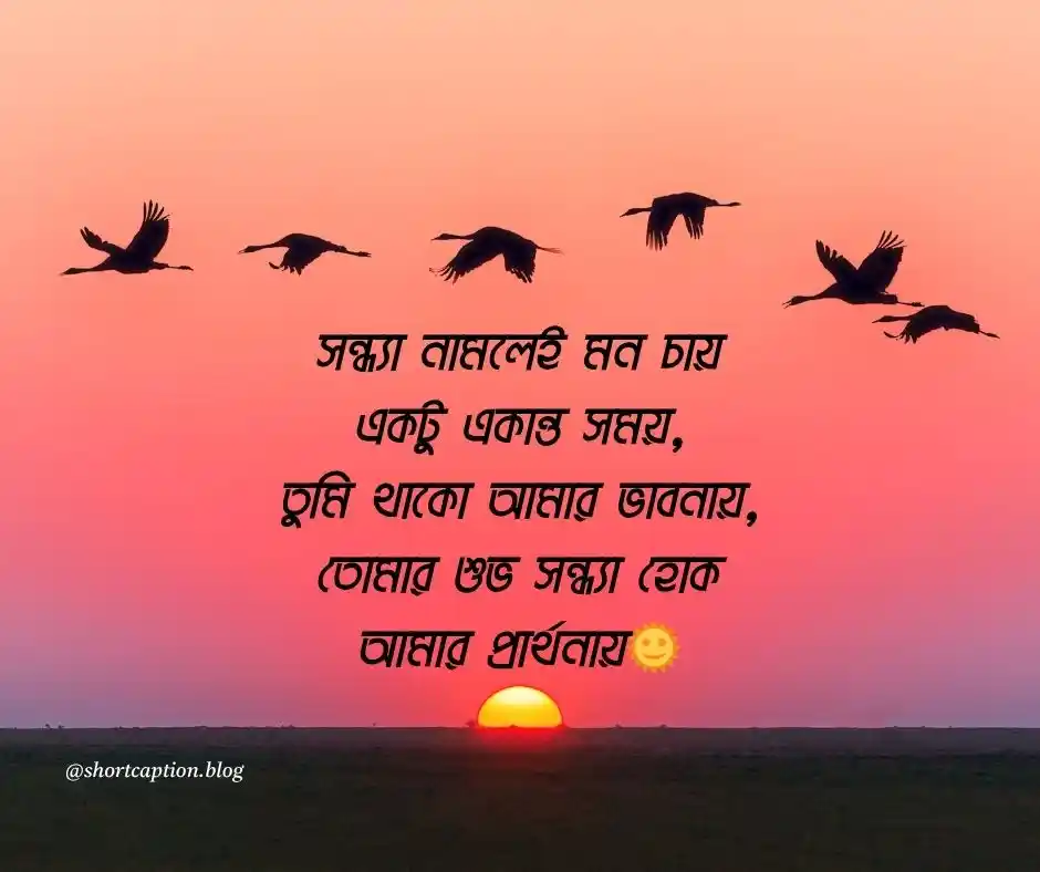 শুভ সন্ধ্যা নিয়ে উক্তি