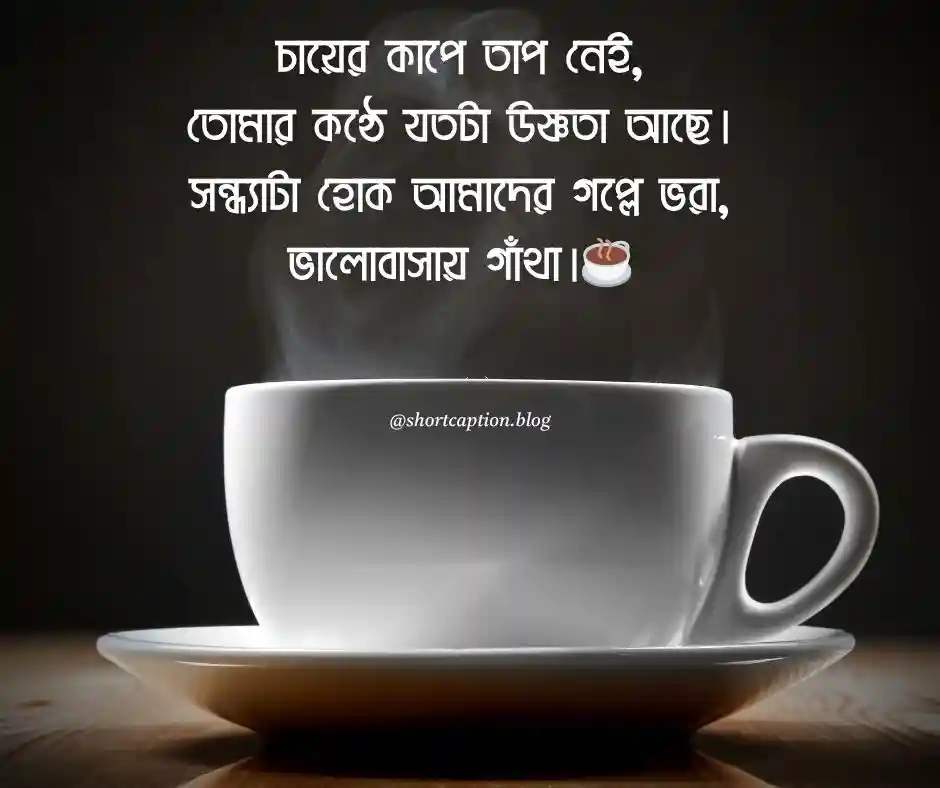 শুভ সন্ধ্যা মেসেজ শুভ সন্ধ্যা রোমান্টিক মেসেজ