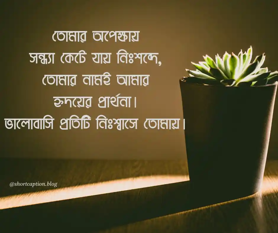 শুভ সন্ধ্যা রোমান্টিক মেসেজ