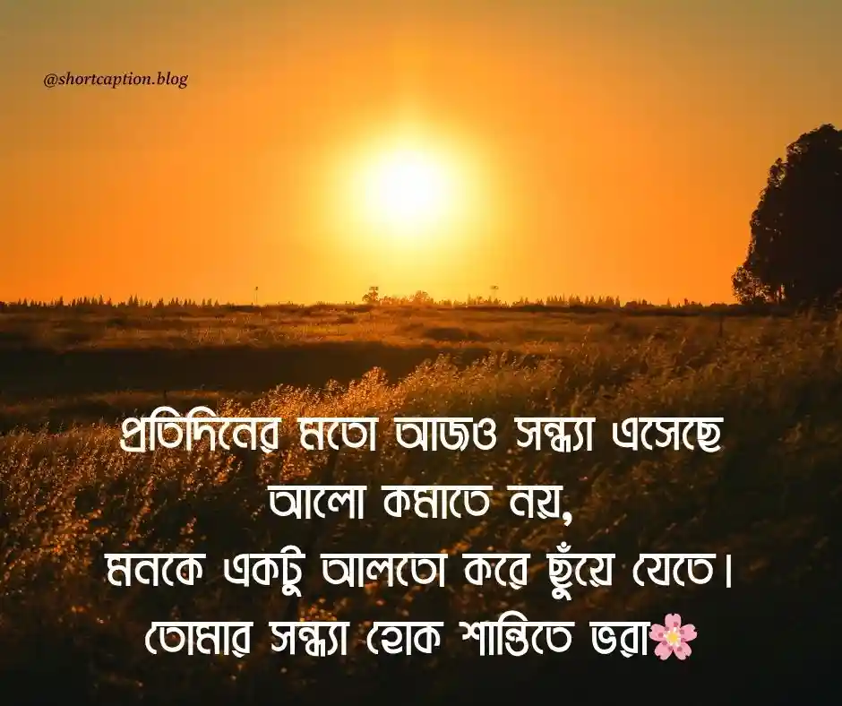 শুভ সন্ধ্যা স্ট্যাটাস বাংলা