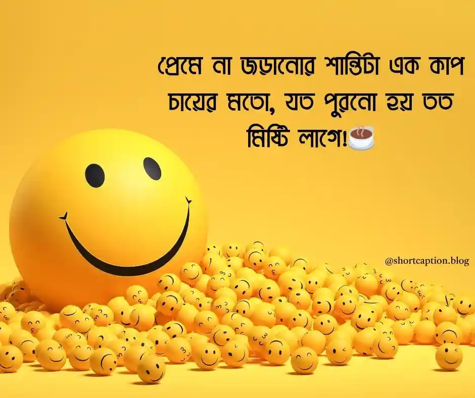 সিঙ্গেল ছেলেদের ফানি স্ট্যাটাস