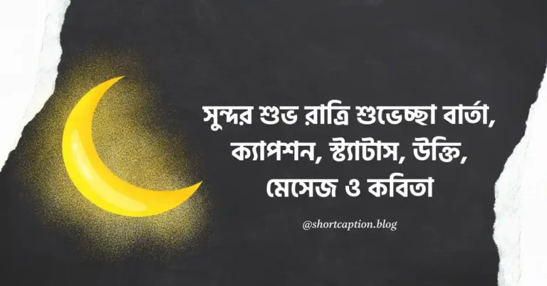 সুন্দর শুভ রাত্রি শুভেচ্ছা বার্তা, ক্যাপশন, স্ট্যাটাস, উক্তি, মেসেজ ও কবিতা