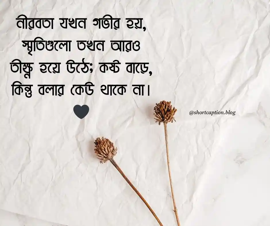 স্মৃতি নীরবতা নিয়ে উক্তি - রাতের নীরবতা নিয়ে স্ট্যাটাস