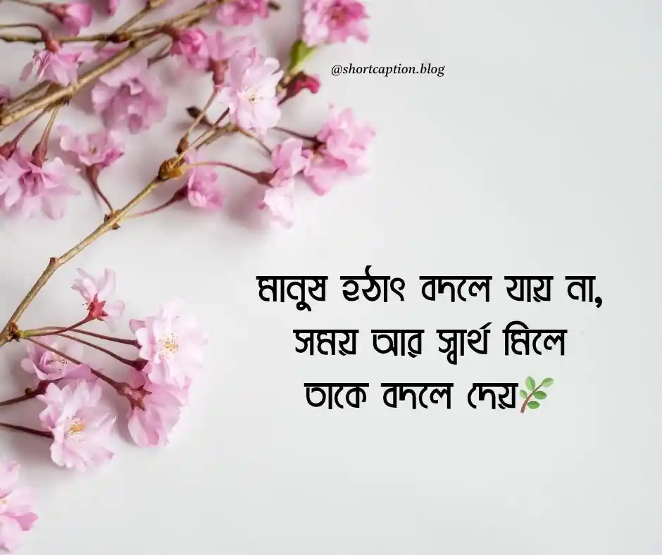 হঠাৎ বদলে যাওয়া নিয়ে উক্তি