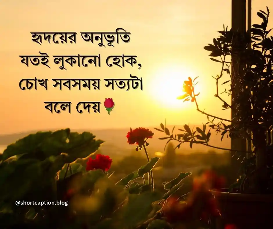 ক্যাপশন বাংলা - Caption Bangla - কেপশন বাংলা