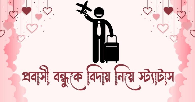 প্রবাসী বন্ধুকে বিদায় নিয়ে স্ট্যাটাস