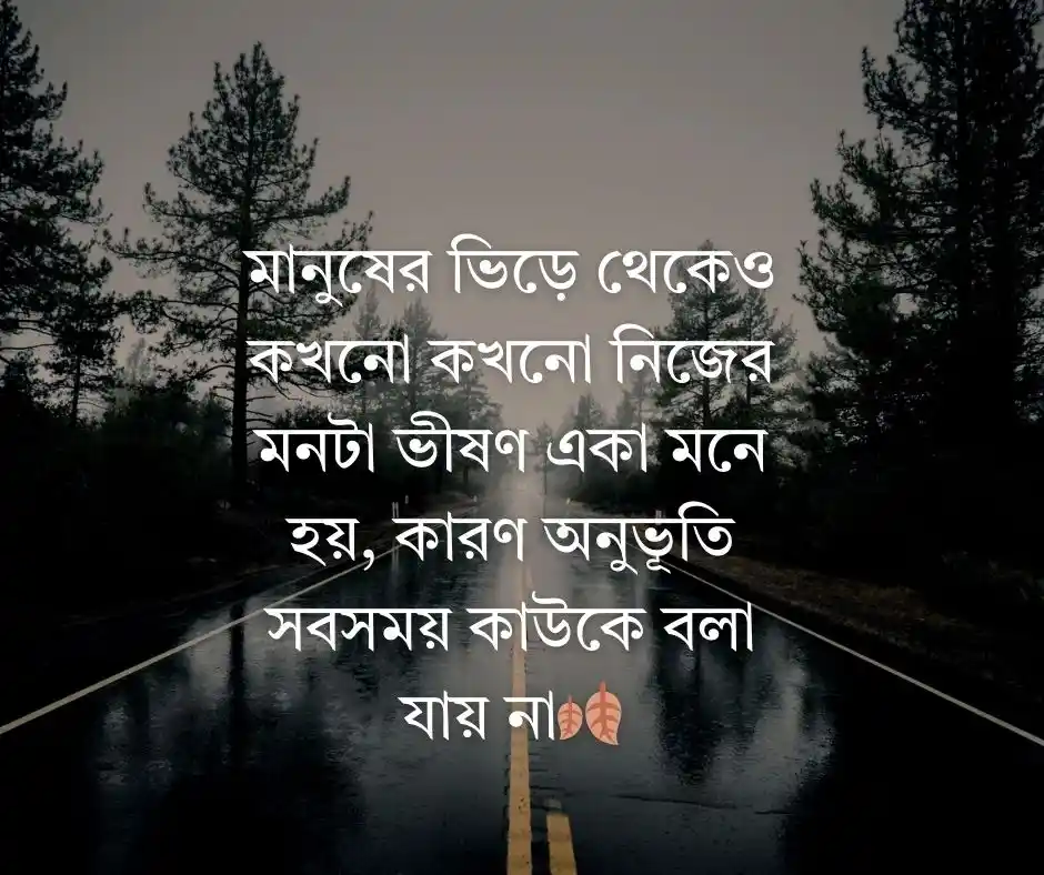 বাংলা ক্যাপশন Bangla Caption